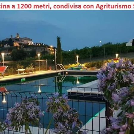 Agriturismo Galanti Cossignano Екстериор снимка